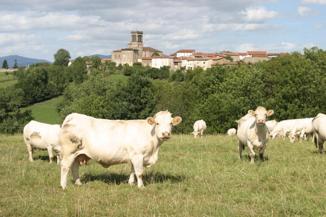 Bed and Breakfast La Paresse En Douce Tours-Sur-Meymont Esterno foto
